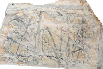 Rock detail close up