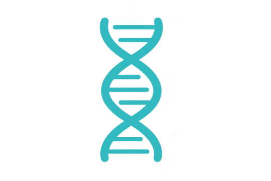 Dna double helix icon representing genetics and scientific innovation, human biology illustration with transparent background - Powered by Adobe