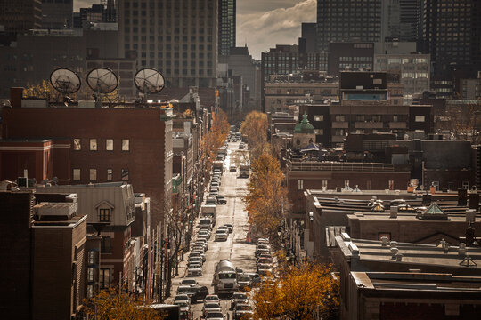 Montreal skyline seen from the Le Village residential district, with a straight street of autumn trees and low buildings leading toward downtown office towers in the distance.