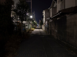 住宅街を通る夜の道