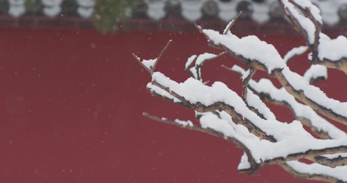 Dai Temple ancient buildings and historical sites in heavy snow