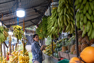 Young woman choosing fresh tropical fruits at a local fruit market stall in Sri Lanka. Pineapples, mangoes and papayas displayed on the counter with bananas hanging above.Authentic Asian marketplace.