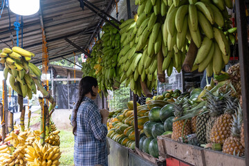 Young woman choosing fresh tropical fruits at a local fruit market stall in Sri Lanka. Pineapples, mangoes and papayas displayed on the counter with bananas hanging above.Authentic Asian marketplace.