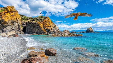 Soaring seagull over rocky beach new zealand nature photography coastal environment scenic viewpoint wildlife concept
