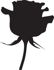 Black silhouette of a rose flower on white background