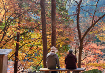 秋の観光名所香嵐渓の鮮やかな紅葉の風景を楽しむシニア女性観光客の姿