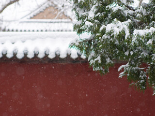 Dai Temple ancient buildings and historical sites in heavy snow