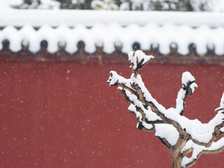 Dai Temple ancient buildings and historical sites in heavy snow