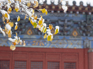 Dai Temple ancient buildings and historical sites in heavy snow