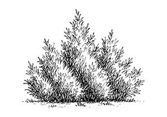 Bush cluster hand drawn simple sketch vector illustration