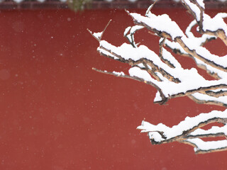 Dai Temple ancient buildings and historical sites in heavy snow