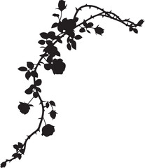 Black silhouette of thorny rose vine with flowers and buds