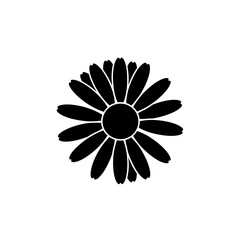 Daisy Flower Spring Nature Blossom Plant Black Silhouette Vector Icon Isolated on White Background for Garden Design
