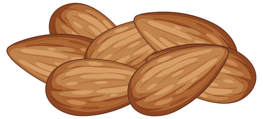 Realistic Vector Illustration of Whole Almond Nuts