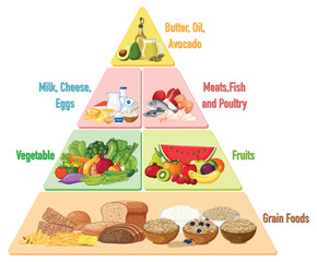 Colorful Food Pyramid Diagram with Food Groups Illustration