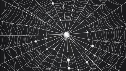 Obraz premium Intricate spider web with dew drops on black background