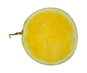 seedless watermelon half top view isolated