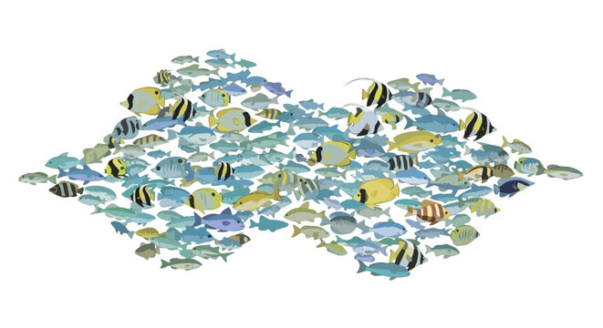 A vibrant aquatic ensemble of fish gracefully swimming in a synchronized school. Showcasing biodiversity and harmonious collective movement of ocean