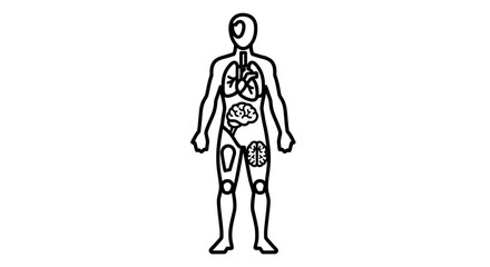 Human anatomy illustration depicting internal organs and body parts, including lungs, brain, and muscle tissue, rendered in a minimalist line art style