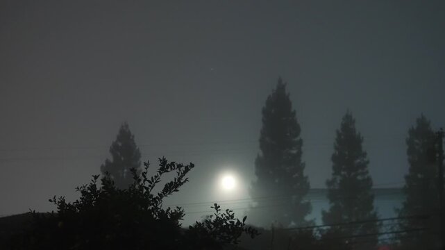 Foggy night landscape with silhouettes of trees and a bright streetlight whose glow diffuses through dense fog