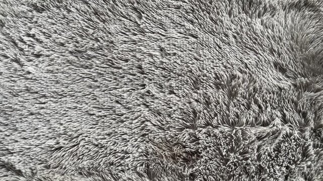 Chambray gray color soft peach fur texture. fur fabric background. grey. top view, high angle, above, flat lay. close up. black, dark. rug. detail. furry. hair, hairy. fluffy. mat. 