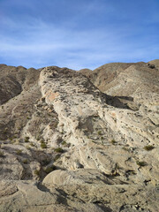 Anza Borrego State Park