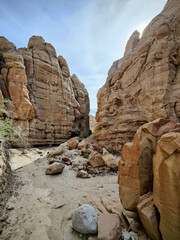 Anza Borrego State Park