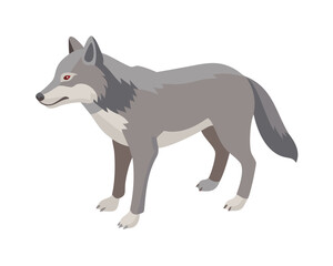 Wolf, flat 2D isometric cartoon vector image isolated on white background.