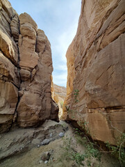 Anza Borrego State Park