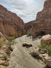 Anza Borrego State Park