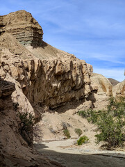 Anza Borrego State Park
