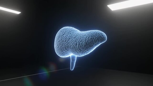 Glowing pancreas diagram showing a digital x-ray or futuristic scan of the isolated human organ in a deep blue, wireframe style
