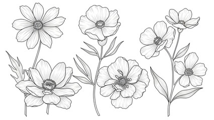 black and white rose'poppy flowers collage'red and yellow flower'shand drawn flowers'seamless pattern with flowers'easter eggs in a basket'happy easter eggs'frame of flowers