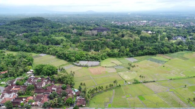 Drone view of Borobudur Temple in Central Java, Indonesia, surrounded by green trees and rice fields in the morning