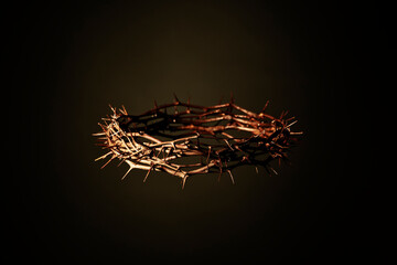 A blurry crown of thorns on a dark background