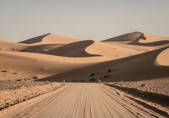 Serene desert road with golden sand dunes landscape in vast wilderness