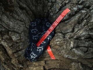 Bandana on tree bark