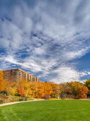 Open grass field with fall trees and apartments