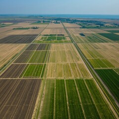 Aerial view of agricultural fields