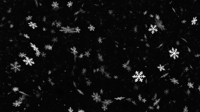 Falling Snowflakes Overlay Graphic Black Background Winter Effect
