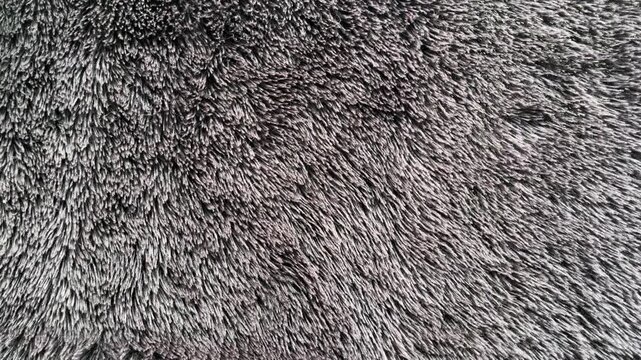 Chambray gray color soft peach fur texture. fur fabric background. grey. top view, high angle, above, flat lay. close up. black, dark. rug. detail. furry. hair, hairy. fluffy. mat. 