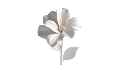 Isolated, pristine white paper-like flower on black background, full bloom, delicate