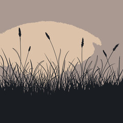 silhouette of grass in the sunset