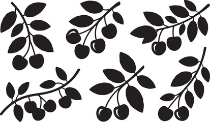Set of silhouettes of cherry branches with berries and leaves isolated on transparent background flat vector illustration