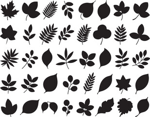 Set of black silhouettes of various tree and plant leaves isolated on a transparent background flat vector illustration