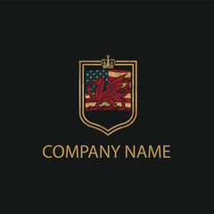 American flag with dragon logo