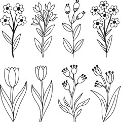Set of eight outlined floral elements, wildflowers, and blooming flowers on transparent background, vector illustration