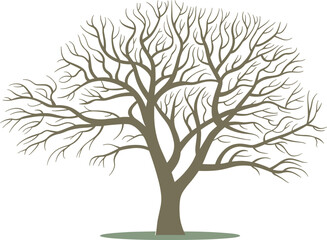 Obraz premium Stylized Detailed Vector Illustration of a Bare Deciduous Tree with Intricate Withered Branches, Representing Winter, Loneliness, or Natural Silhouette on a White Background.