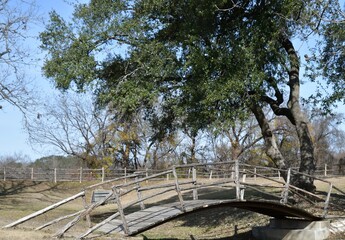 old bridge in the park