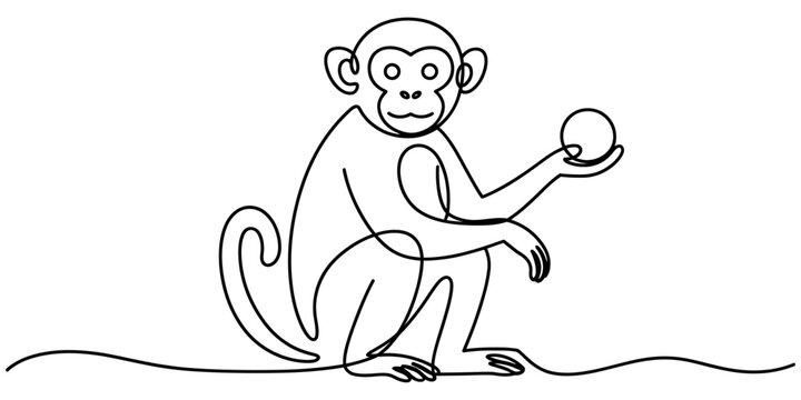 A simple line drawing of a monkey holding a ball Vector, illustration